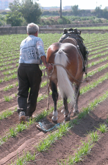 monorxata agricultura